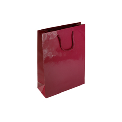 Small Burgundy Paper Gift Bag